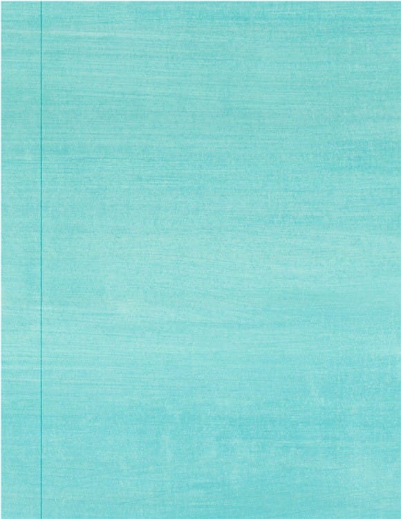 Raw Silk Sample - faux finish painted by Ashley Spencer